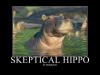 skeptical hippo is skeptical, motivation