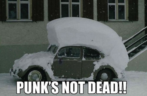 punk's not dead, car, snow, mohawk, lol