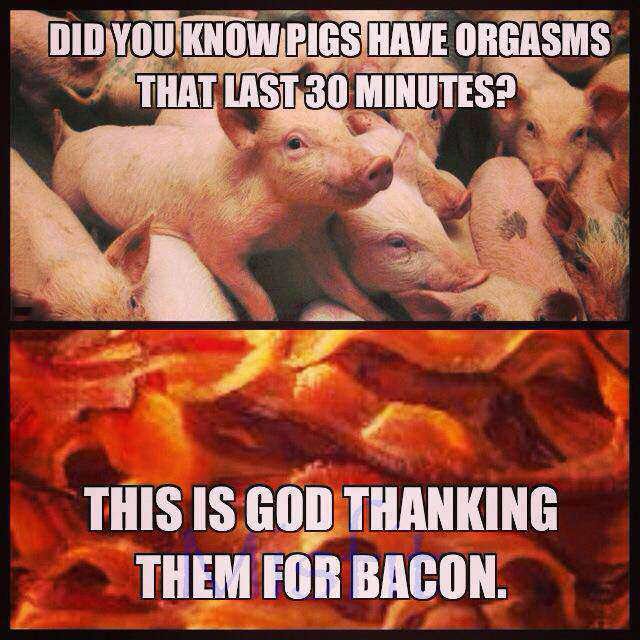 bacon, 30 minute orgasm