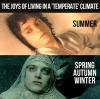 temperate climate, lotr, frodo, summer, winter, spring, fall, meme