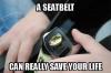 a seatbelt can really save your life, beer opener