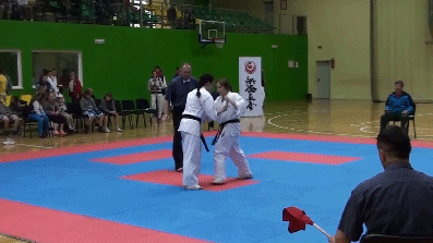 karate roll kick move knocks girl out, win