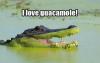 crocodile, alligator, I love guacamole, meme