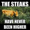the steaks have never been higher, meme