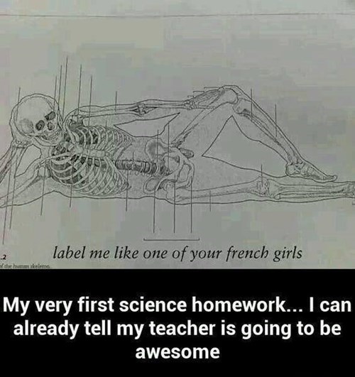 skeleton, anatomy class, lol, label me like one of your french girls
