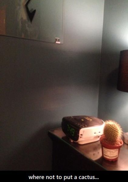 alarm clock, cactus, lol