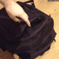 gif, cat, tease, attack