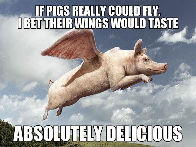 meme, if pigs had wings, absolutely delicious