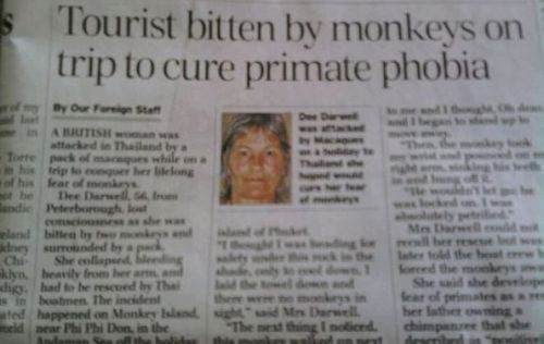 tourist bitten by monkeys on trip to cure primate phobia, newspaper headline, lol, fail
