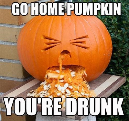 drunk, pumpkin, meme, go home you are drunk, halloween, throw up