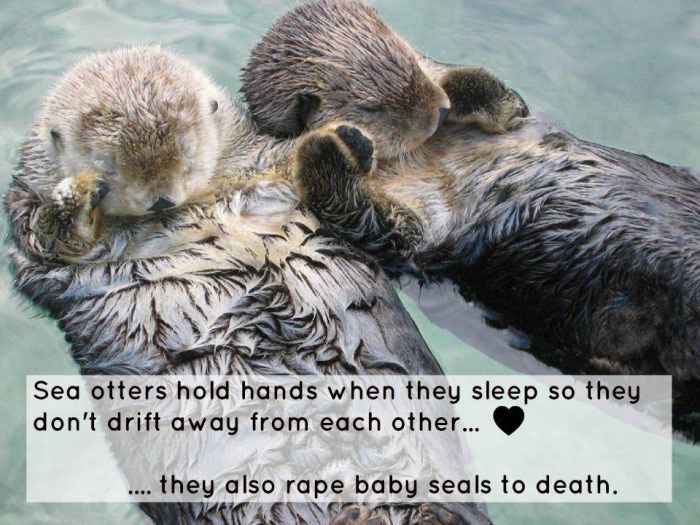 otters, hold hands, rape baby seals, wtf
