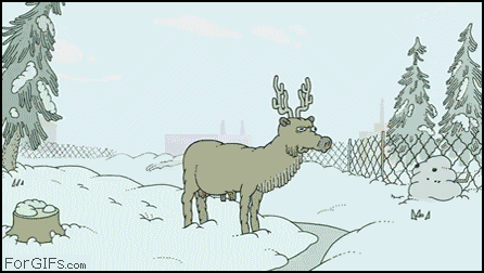 gif, graphics, moose, color, wtf,