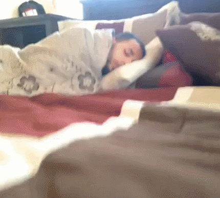 gif, mondays, blanket, lol, going to work