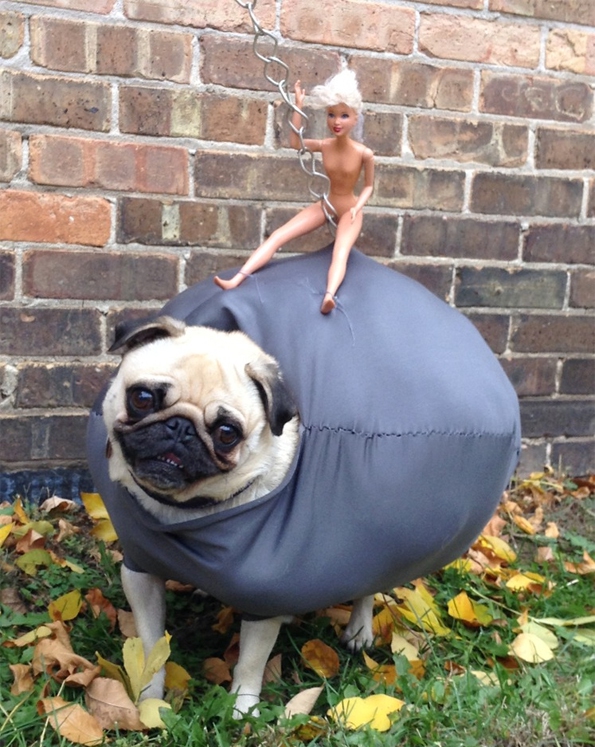wrecking ball, dog, costume, barbie, miley cyrus