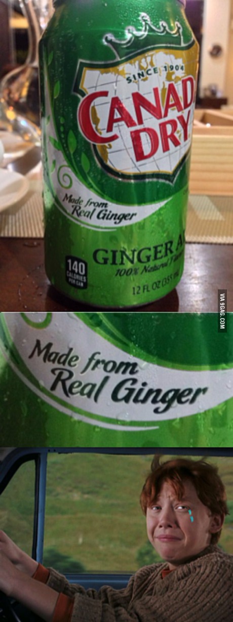 canada dry, real ginger, ron