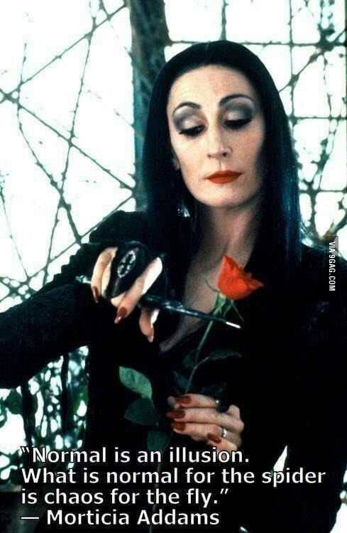 chaos, normal, relative, morticia adams