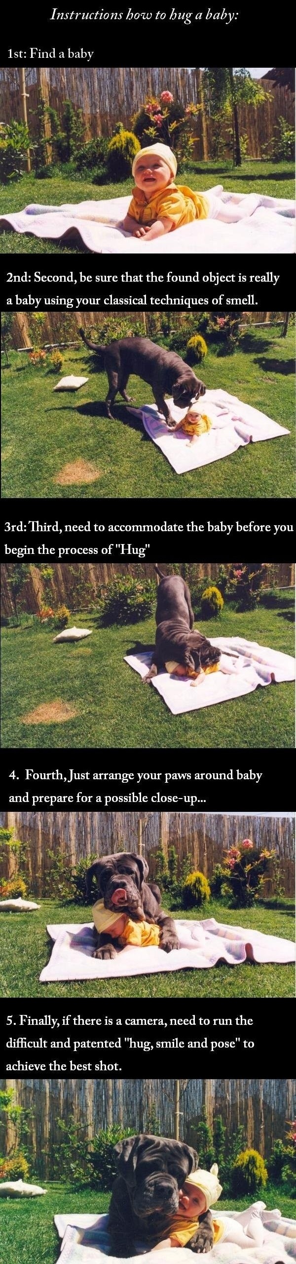 how to hug a baby, a guide for dogs, cute