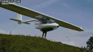gif, plane, glider, win