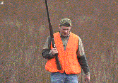 bird in the hand, gif, catching a bird, hunting hunter