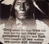 only when the last tree has died and the last river been poisoned and the last fish been caught will we realize we cannot eat money