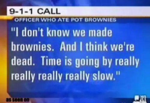 officer who ate pot brownies, i don't know we made brownies, and I think we're dead, time is going by really really really slow