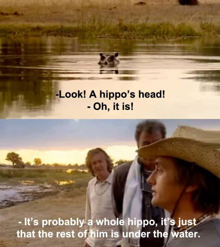hippo's head, sarcastic