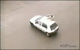 gif, super dog, take down, win
