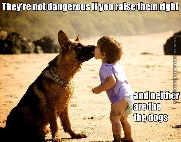 dangerous, kids, dogs, raise them right, meme