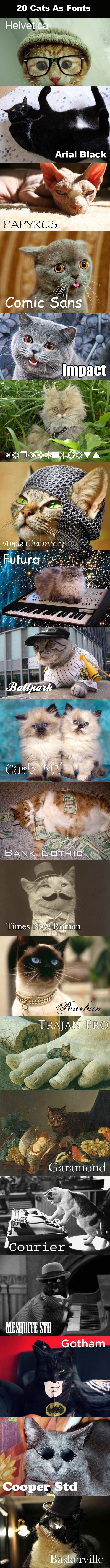 computer fonts as cats