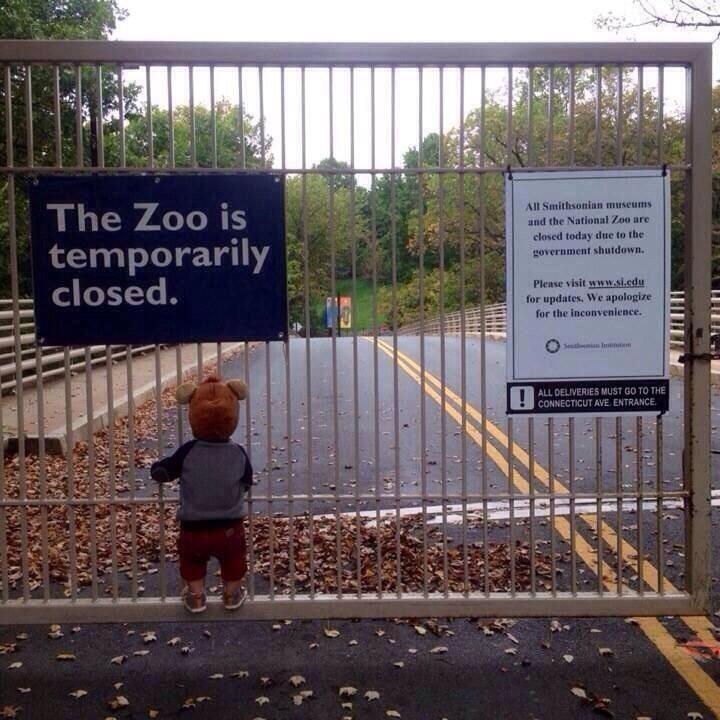 saddest shutdown photo, zoo, kid, gate