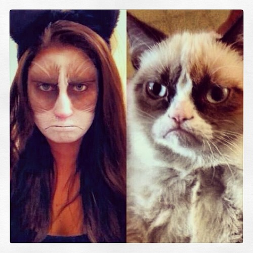 grumpy cat make up, costume, halloween, meme