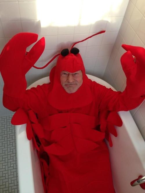 lobster, patrick stewart, bathtub, costume, wtf