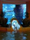 water slide through giant fish tank, aquarium, win