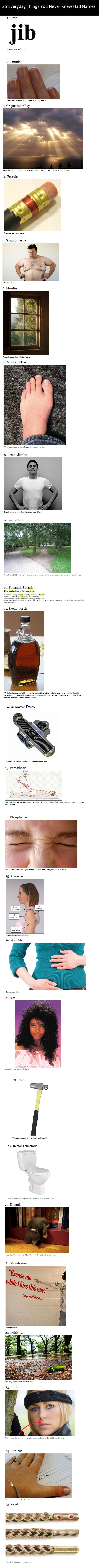25 names for things you never knew existed