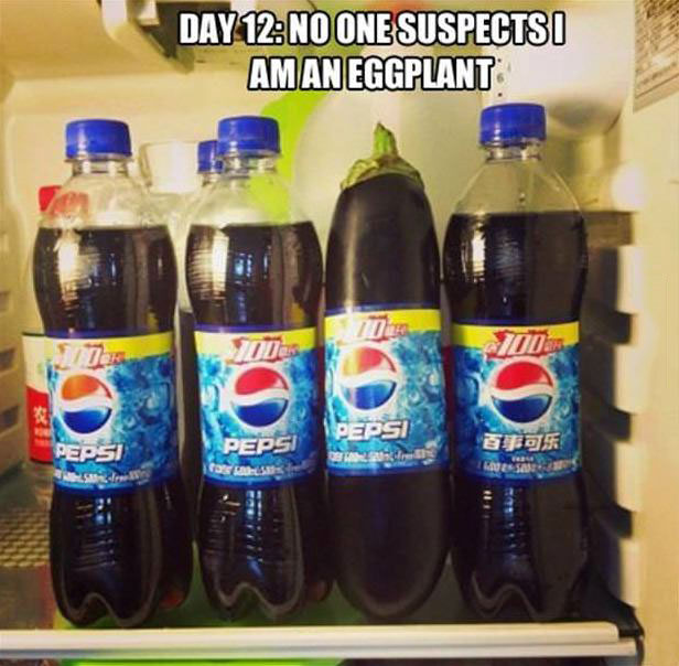 day 12 no one suspects I am an eggplant