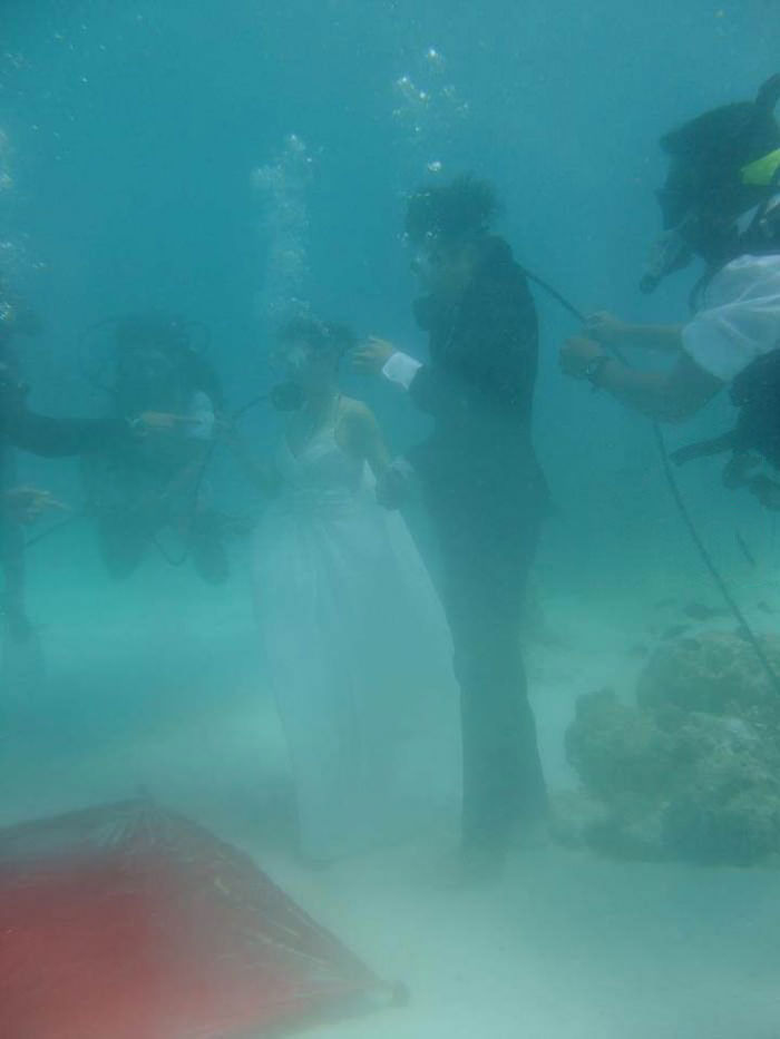 underwater wedding, marriage, wtf, scubadiving