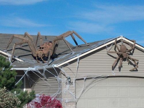 halloween, decorations, giant spider