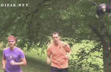 gif, drone, prank, halloween, joggers, lol, scared - Oct 24 2013 02:27 PM gif, drone, prank, halloween, joggers, lol, scared