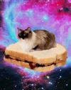 space cat on floating peanut butter and jelly sandwich