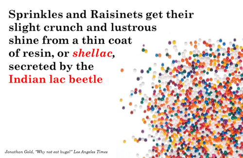 food, raisinets, sprinkles, secreted by a beetle