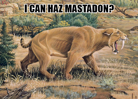 i can haz mastodon, first lolcat