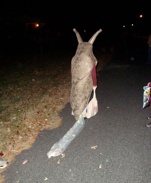 snail costume, trail of slime