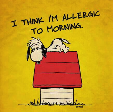 I think I'm allergic to morning, snoopy