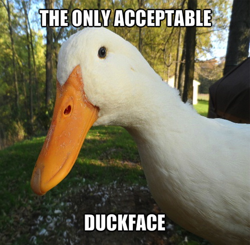 the only acceptable duck face, meme
