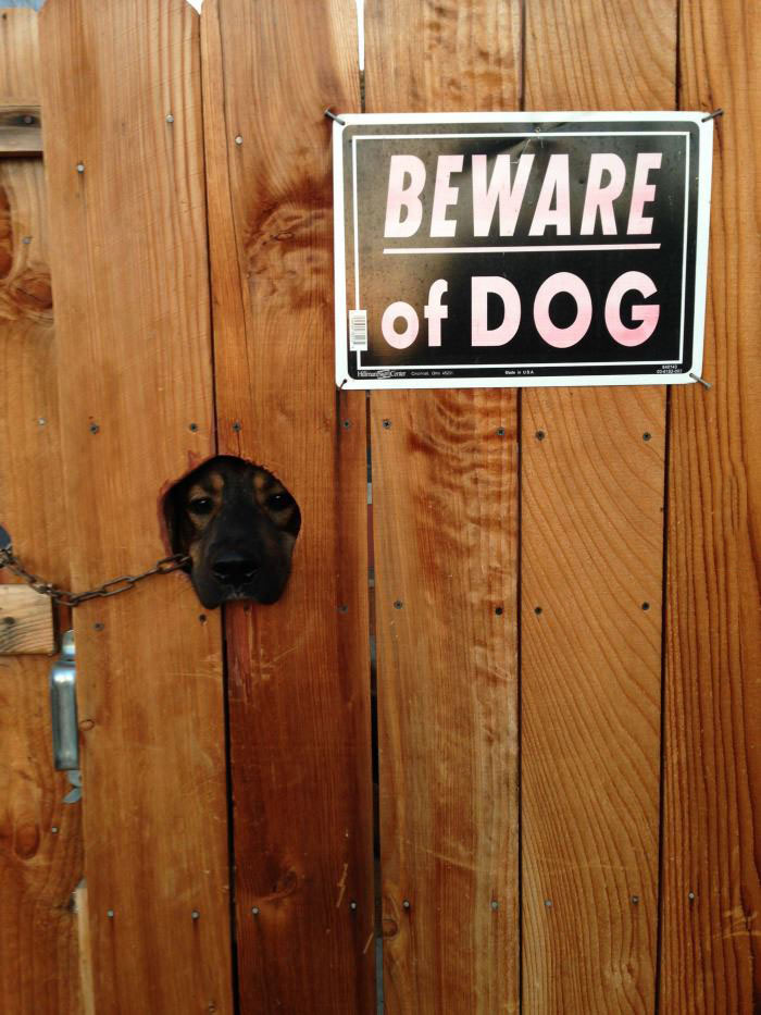 beware of dog, sign, lol