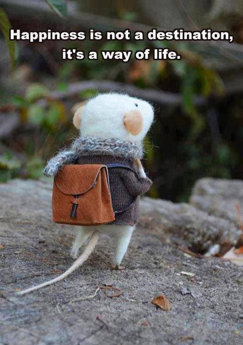 happiness is not a destination it is a way of life