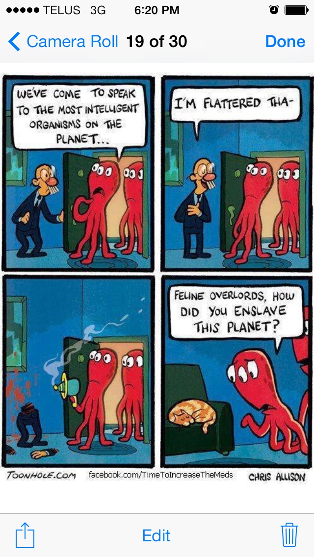 aliens, leader, cat, comic
