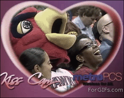 gif, kiss cam, mascot, bird, lol