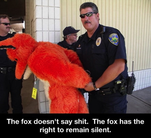 the fox has the right to remain silent
