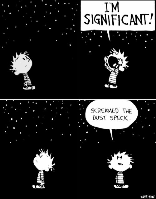 i'm significant, screamed the dust speck